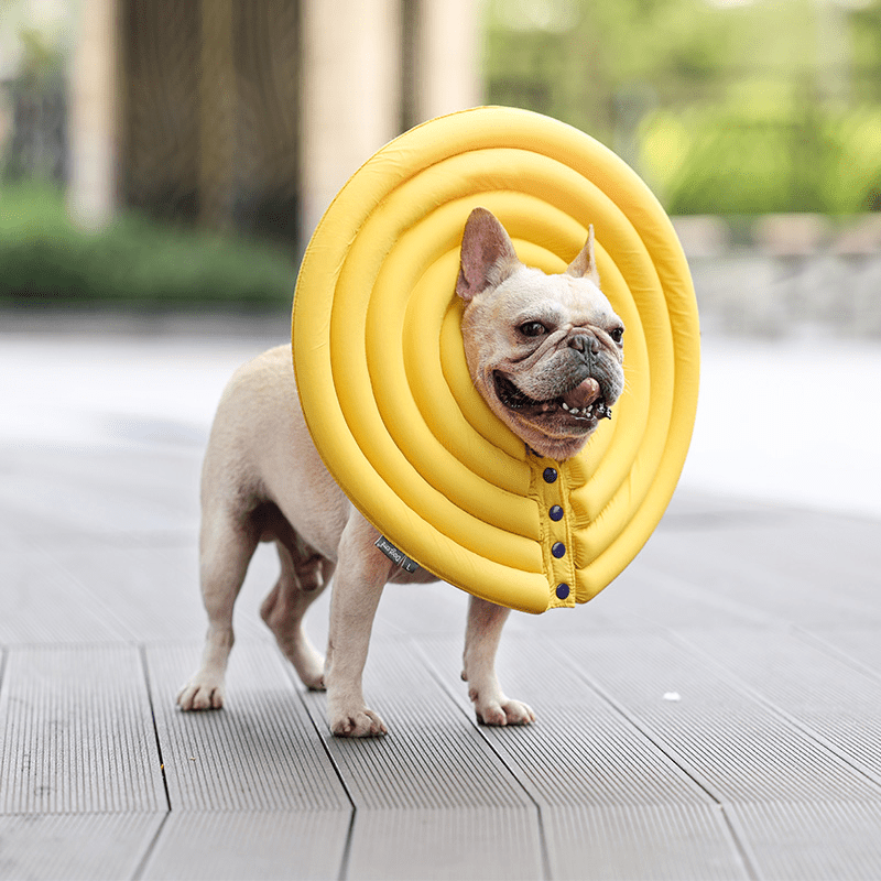 Extended Wide Elizabeth Collar for Dogs Comfortable Recovery Cone -