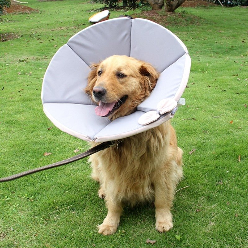 Cat Recovery Collar Dog Recovery Cone Anti - Bite Anti - Lick Protective -