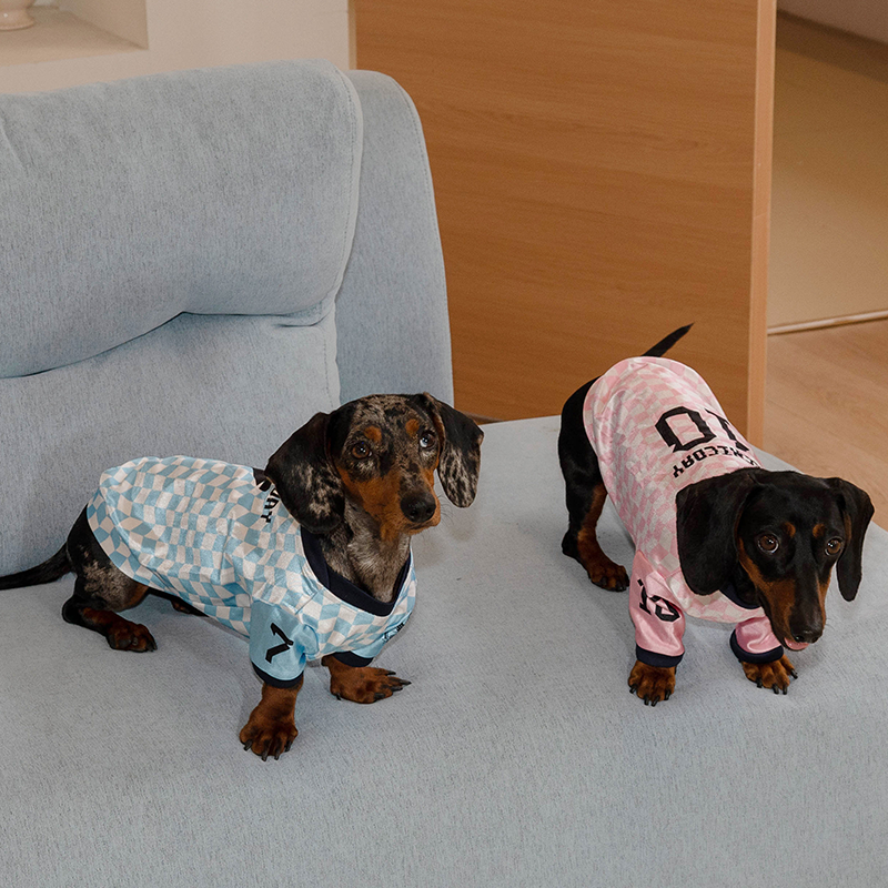 Vintage Jersey Dachshund Lightweight Shirts