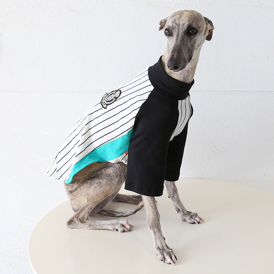 World Cup Vintage League Baseball Jacket Italian Greyhound Whippet Clothes
