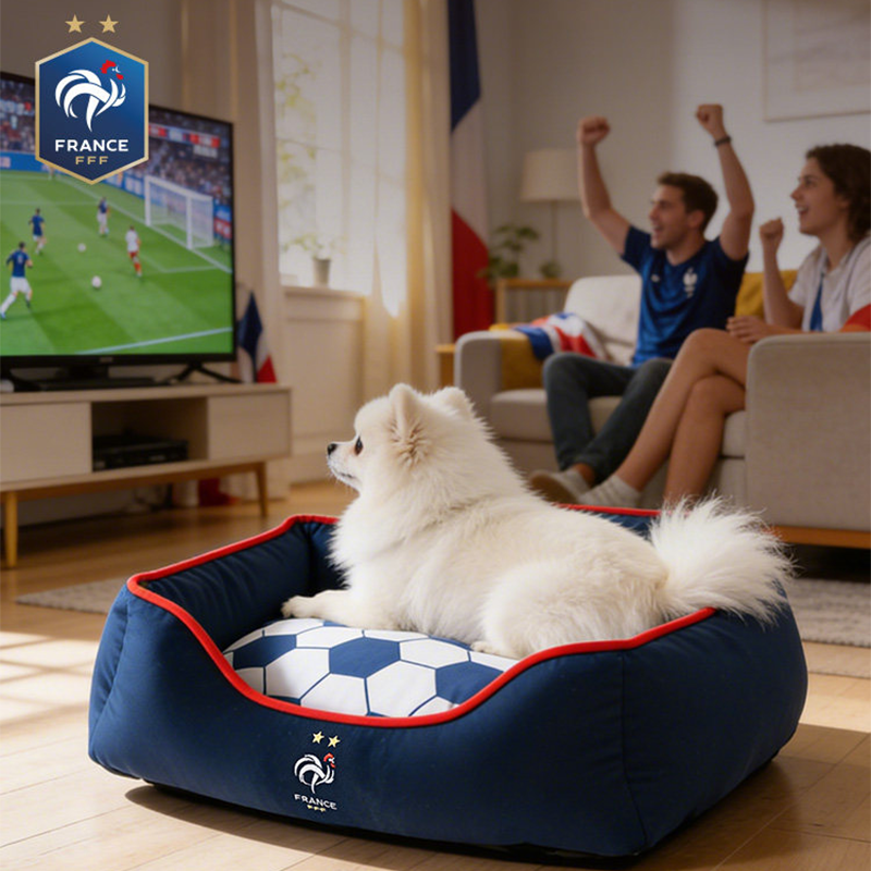 World Cup France Team Dogs Square Bed Soft Sofa Bed