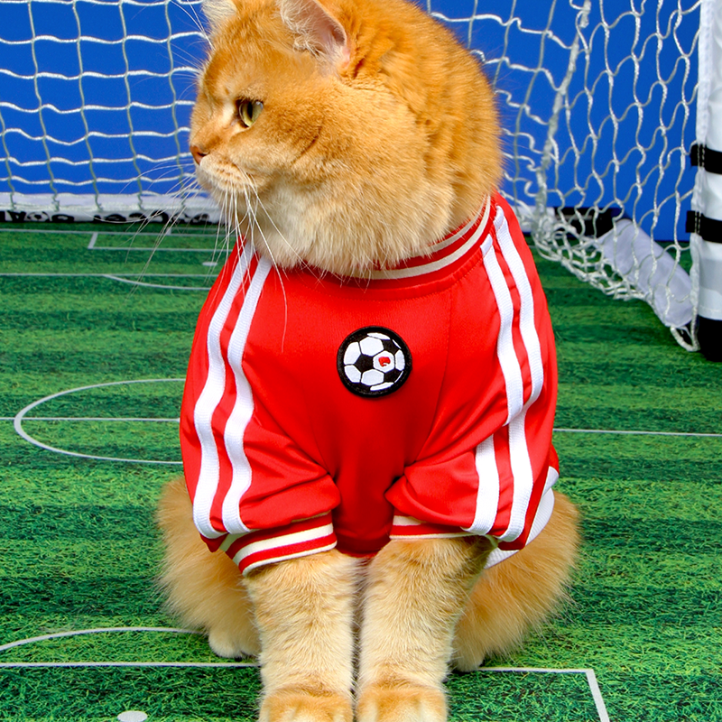Soccer Sports Top Dog & Cat Breathable Athletic Shirt Dress