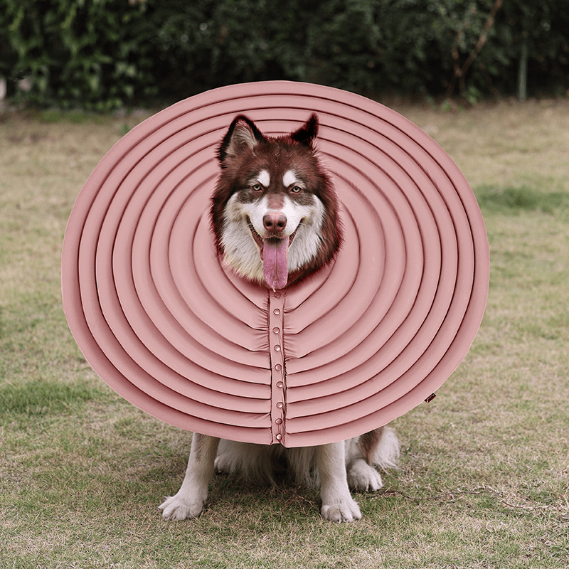 Extended Wide Elizabeth Collar for Dogs Comfortable Recovery Cone -
