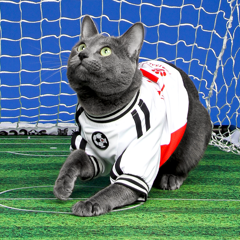Soccer Sports Top Dog & Cat Breathable Athletic Shirt Dress