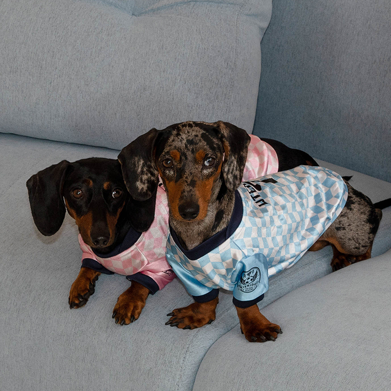 Vintage Jersey Dachshund Lightweight Shirts