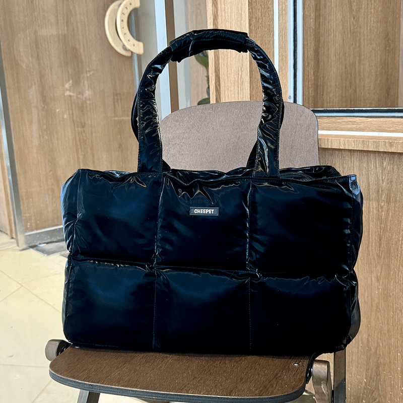 Pet Carrier Outing Stylish Portable Handbag For Pet Under 6.6 lbs -